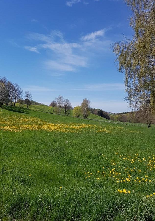 Ferienhaus Polly Rabenau Buitenkant foto