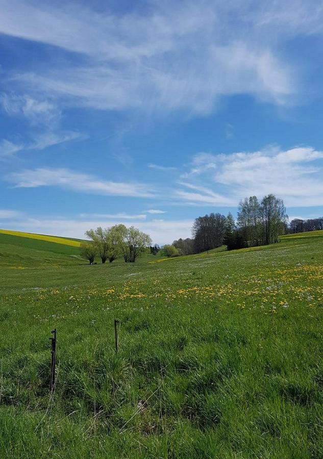 Ferienhaus Polly Rabenau Buitenkant foto